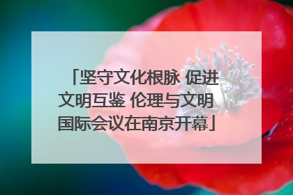 坚守文化根脉 促进文明互鉴 伦理与文明国际会议在南京开幕